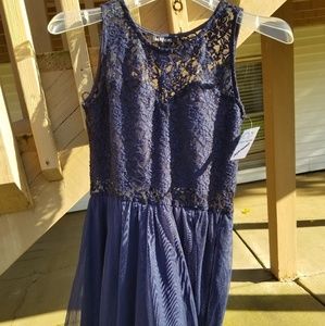Navy blue Vertiche dress brand new!